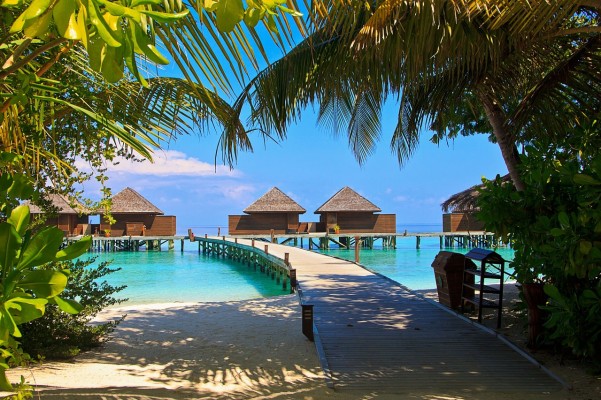 Maldives Tour Packages